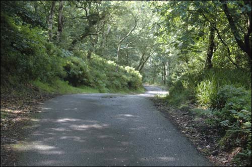 Hardcastle Crags and back