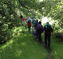 Hebden Bridge Walkers Action