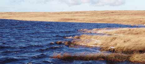 Ryburne Reservoir