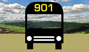 901 walks