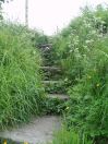 254 BS colden PW 2