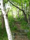 273 hept eaves wood 7