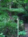 297 Tod behind scaitcliffe hall
