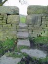 35 Hept Lane head