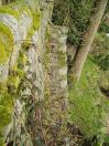 40 Hept Lower lumb 4