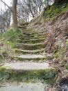 37 Hept Lower lumb