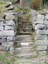 41 Hept lower lumb 5