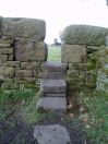 36 Hept lanehead 2