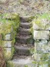 38 Hept lower lumb 2