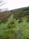 5 BS Hebble Hole Colden