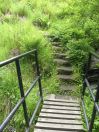 288 BS staups bridge