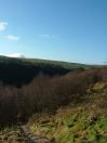 461  Hept Lower lumb colden 4