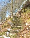 467  Hept Lower lumb colden 10