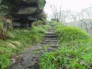 7 BS Staups steps 2
