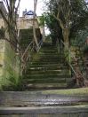 437 100 steps 4
