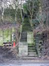 438 100 steps 5