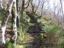 34 Hept Eaves wood