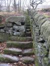 837 freda steps 6