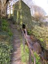 846 winters steps
