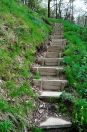 612 CT Top of steps Oakville Road