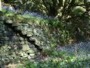 81 CTJumble hole clough