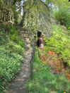 845 lower winter waterfall s.g