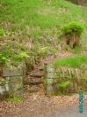 66 Tod Steps Ewood Lane [1]