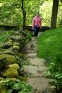 580 Myth Dauber Bridge cragg rd 3