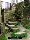 169 Myth Hawks clough