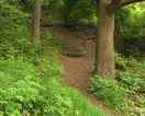 573 Myth Stocks lane - cragg rd
