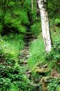 150 BS Cat steps mytholm steeps