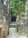 341 hb cuckoo steps