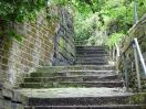345 hb cuckoo steps 5