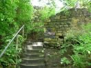 351 hb cuckoo steps 11