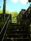 342 hb cuckoo steps 2