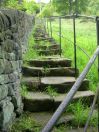 58 CTcharlestownsteps