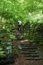 159 Nutclough woods