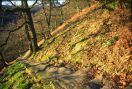 86 Hept to colden mill