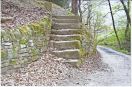 136 myth redacre woods 2