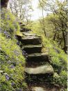 137 Hept above colden water