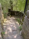 168 Hb cuckoo steps
