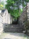 250 Hb cuckoo steps 2