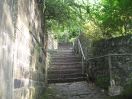 251 Hb cuckoo steps 3