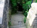 247 Hb cuckoo steps