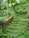 100 Ludd Cat in well
