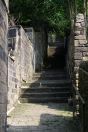 363 hb cuckoo steps