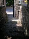 372 hb down cuckoo steps