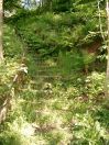 619 Ludd Cat in well