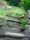 760 flowerstepszeb