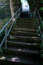390 Hb One hundred steps 4